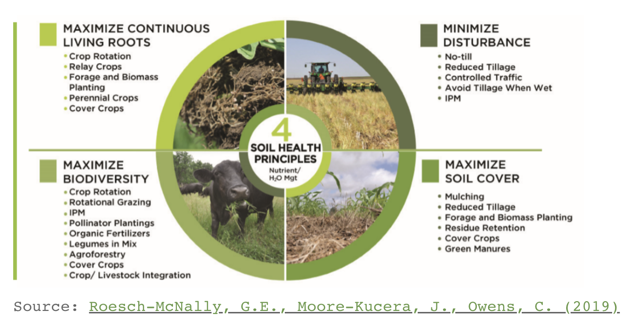 4 Soil Health Principles