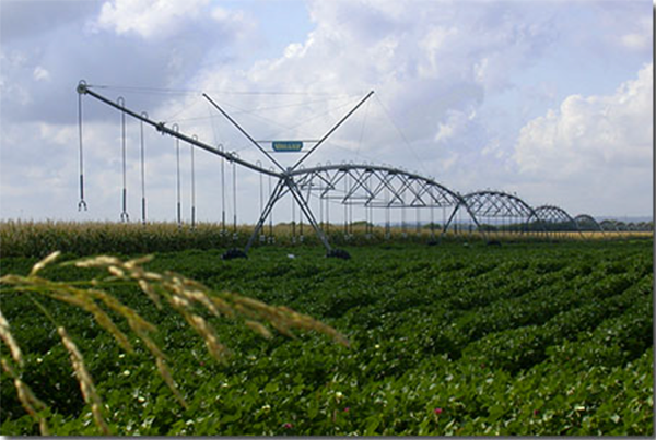 Agriculture Water Use