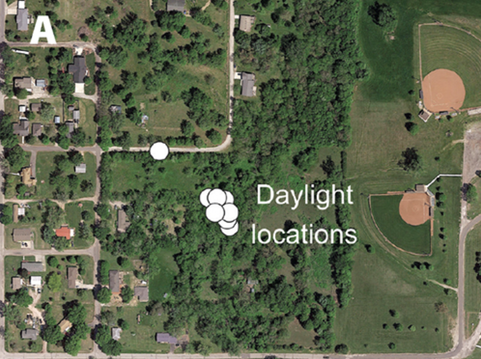 Buck_Daylight Locations