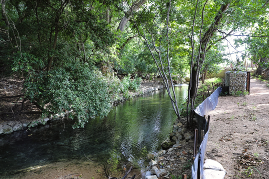 Headwaters at the Comal.png