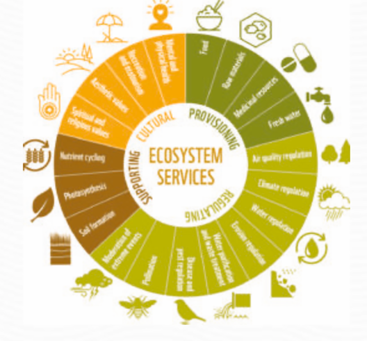 Ecosystems Services