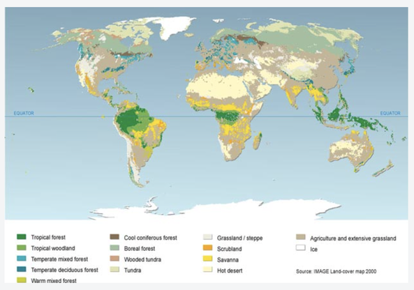Land-cover Map_2000