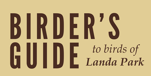 Landa Park Birding Guide