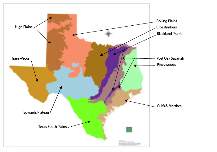 Texas Ecoregion Map_2