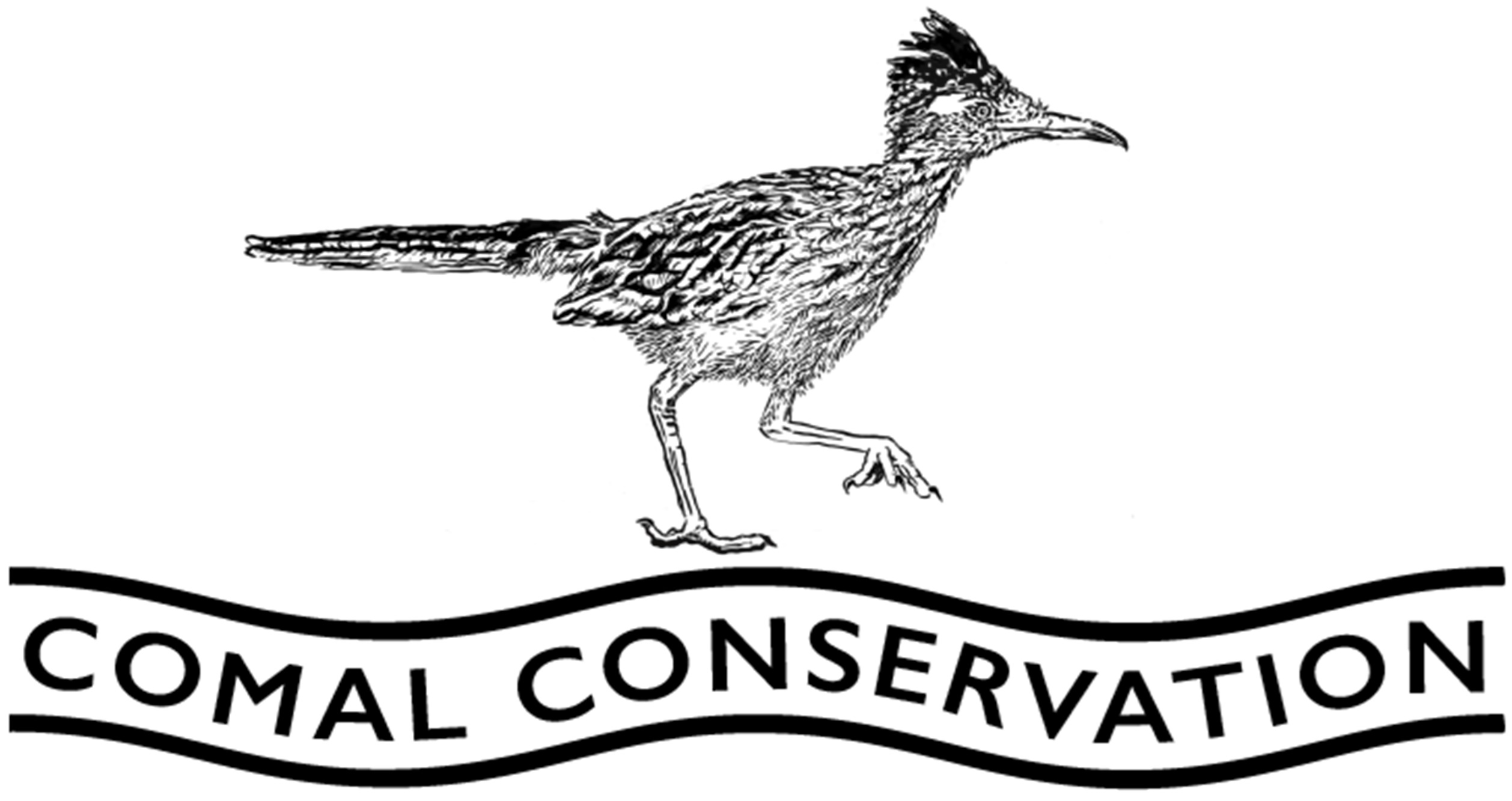 level7-logo Comal Conservation