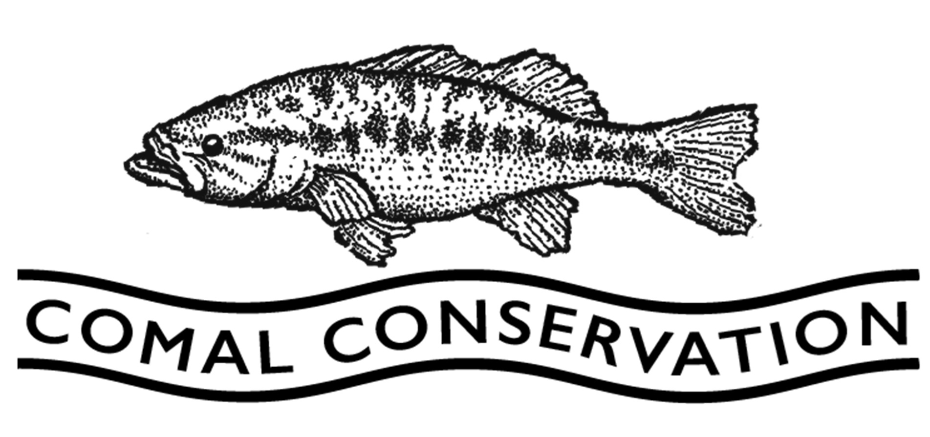 Comal Conservation - Bass (1) Comal Conservation